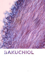 Bioderma Sensibio AR+ BI-Serum 30 ml - 3