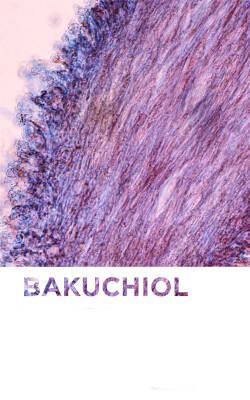 Bioderma Sensibio AR+ BI-Serum 30 ml - 3