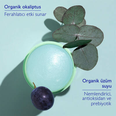 Caudalie Vinofresh Natural Stick Deodorant 50 gr - 3