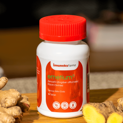 Imuneks Emetium 15 Tablet - 2
