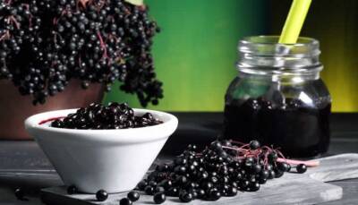 İmunol Sambucus 20 Kapsül - 3