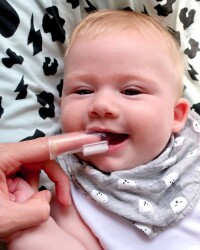 Jack N' Jill Stage One Silicone Finger Brush 2 Pack & Case (6-12 Months) - 4