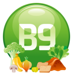 New Life B12 Plus Methyl 30 Sublingual Tablets - 4