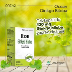 Ocean Ginkgo Biloba 120 mg 30 Kapsül - 2