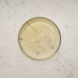 Phyto Phytocolor Shampooing Protecteur de Couleur 250 ml - 2