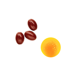 Phyto Phytophanere Complément Alimentaire Cheveux et Ongles 2x120 Capsules - 4