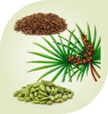 Prostaquil 30 Capsules - 2