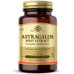Solgar Astragalus Root Extract 60 Vegetable Capsules - 1