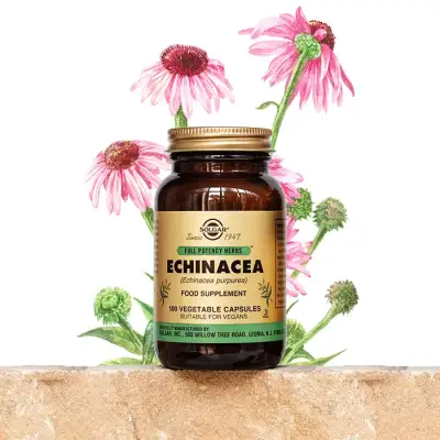 Solgar Echinacea 100 Vegetable Capsules - 2