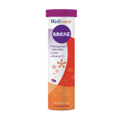 Wellcare Immune 15 Efervesan Tablet - WELLCARE