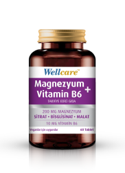 Wellcare Magnezyum + Vitamin B6 60 Tablet - WELLCARE