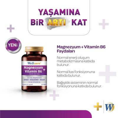 Wellcare Magnezyum + Vitamin B6 60 Tablet - 2